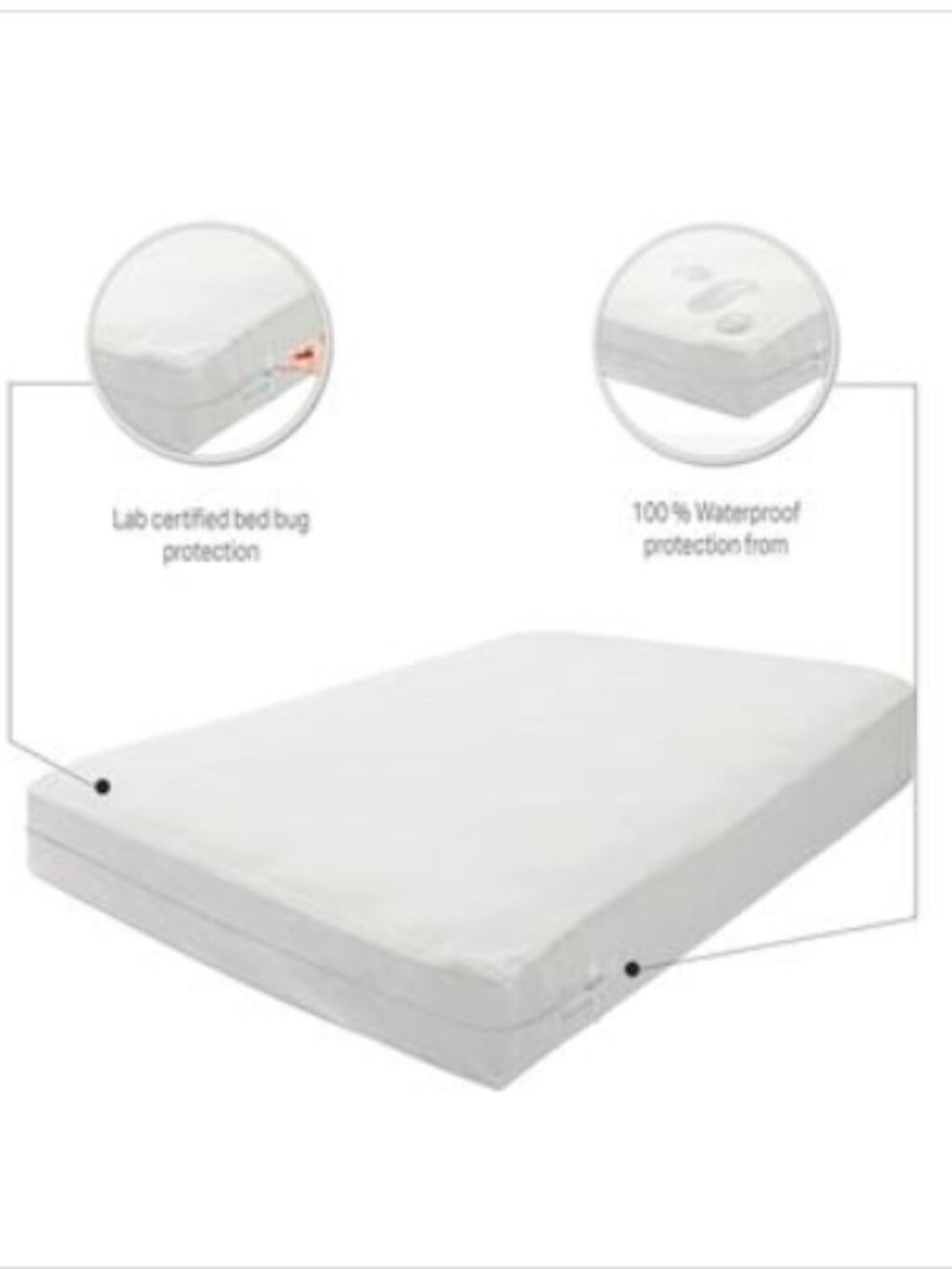 Payton Mattress or Box Spring Protector Covers, Queen - White